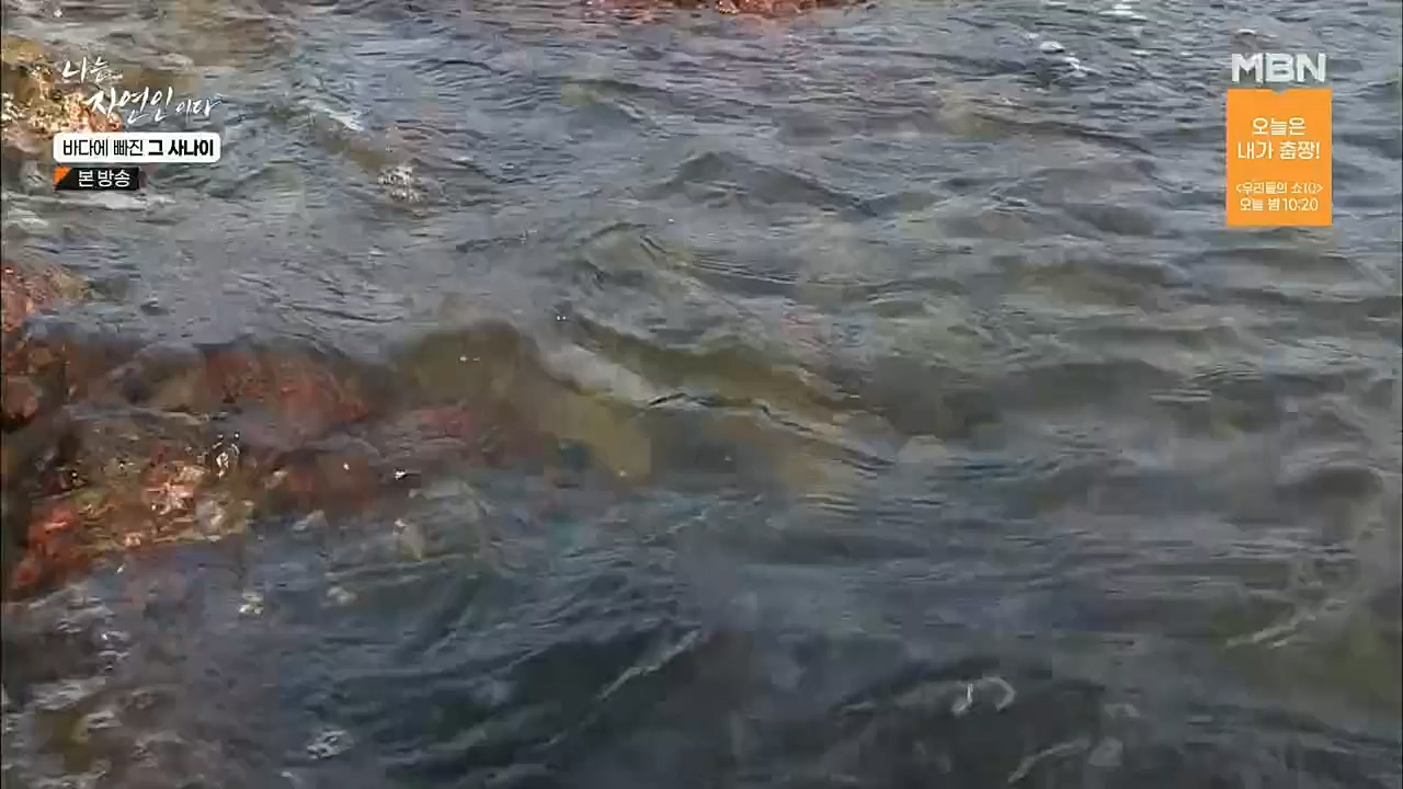 나는 자연인이다.E530.221131p.H264-F1RST.mp4_20221201_212045.382.jpg