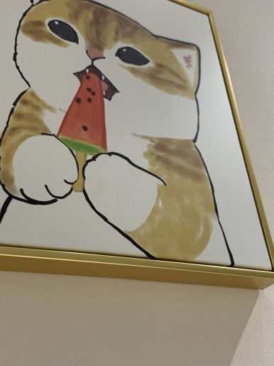 오도루네코