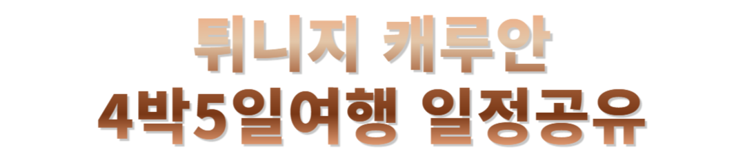 튀니지 캐루안 여행후기