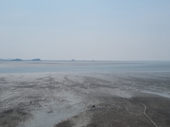 갯벌