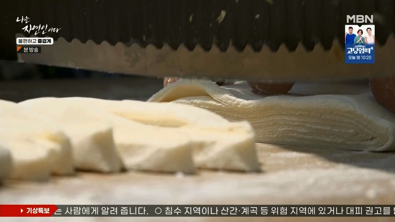 나는 자연인이다.E566.230810p.WANNA.mp4_20230810_202555.223.jpg