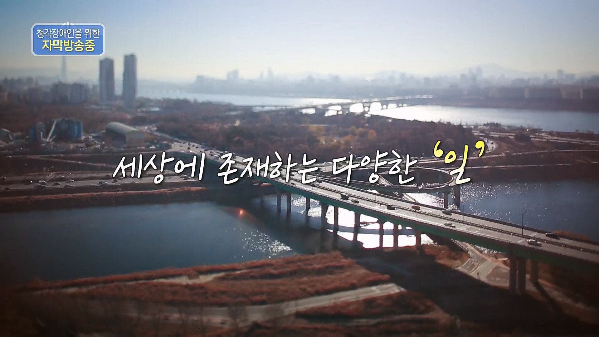 다큐 On.E180.230106p.H264-F1RST.mp4_20230110_200431.729.jpg
