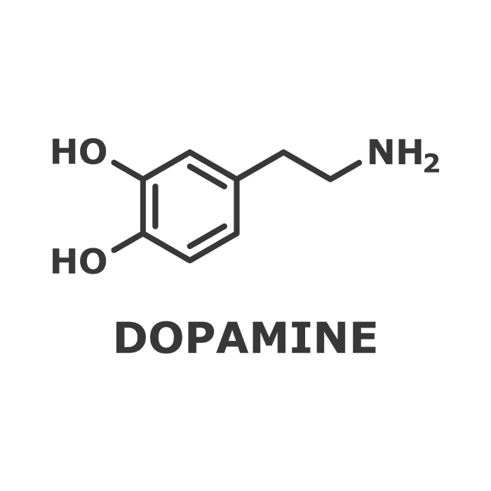 도파민&#44;화학물질&#44;