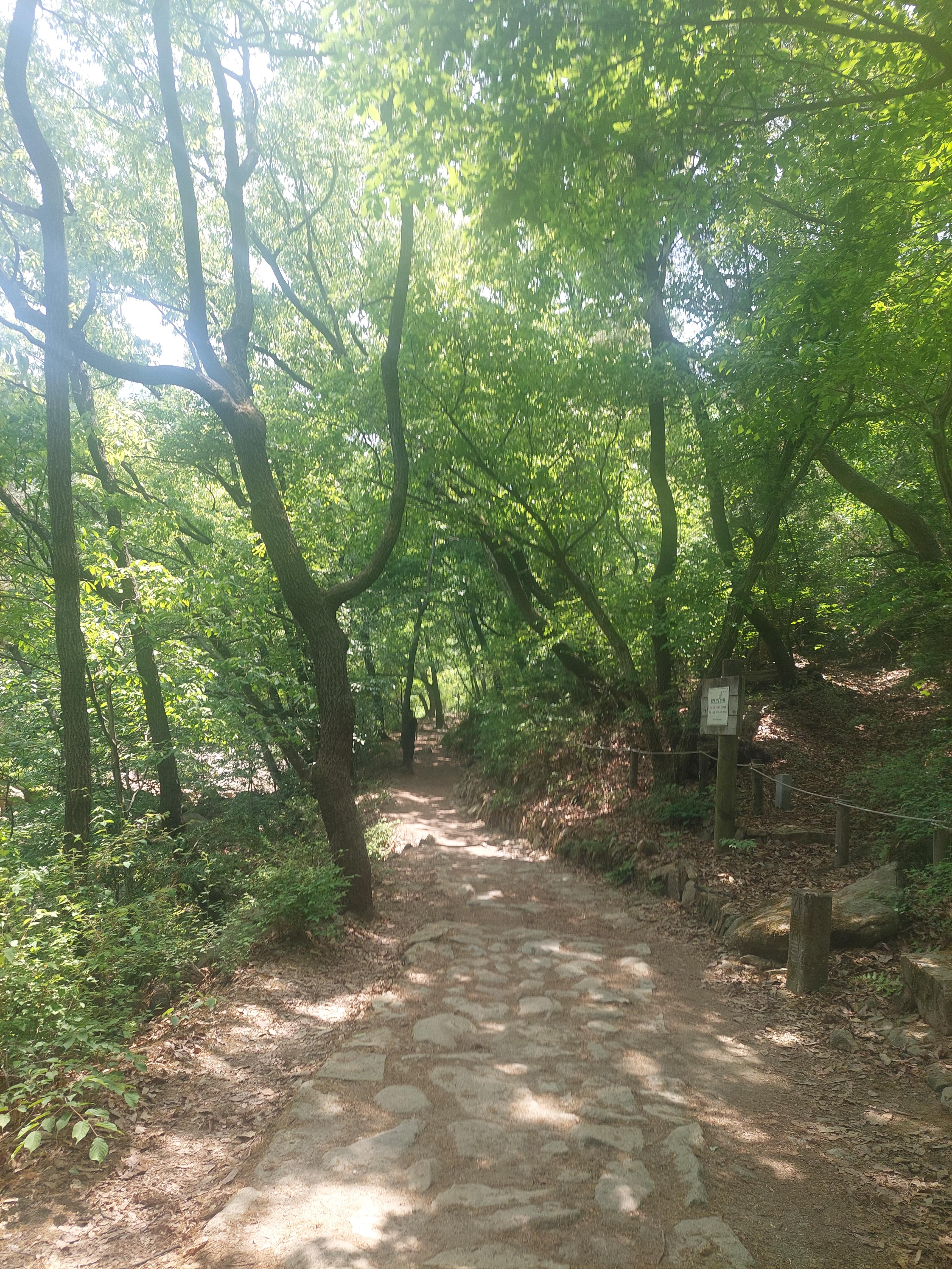 관악산 연주대