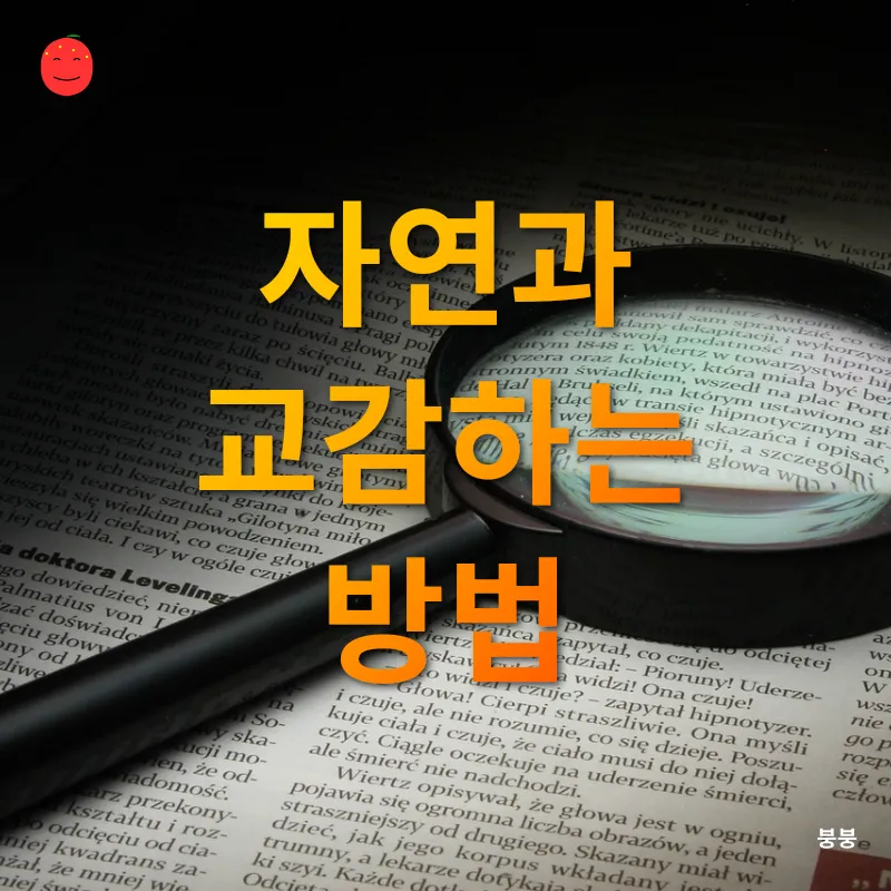 자연관찰_2