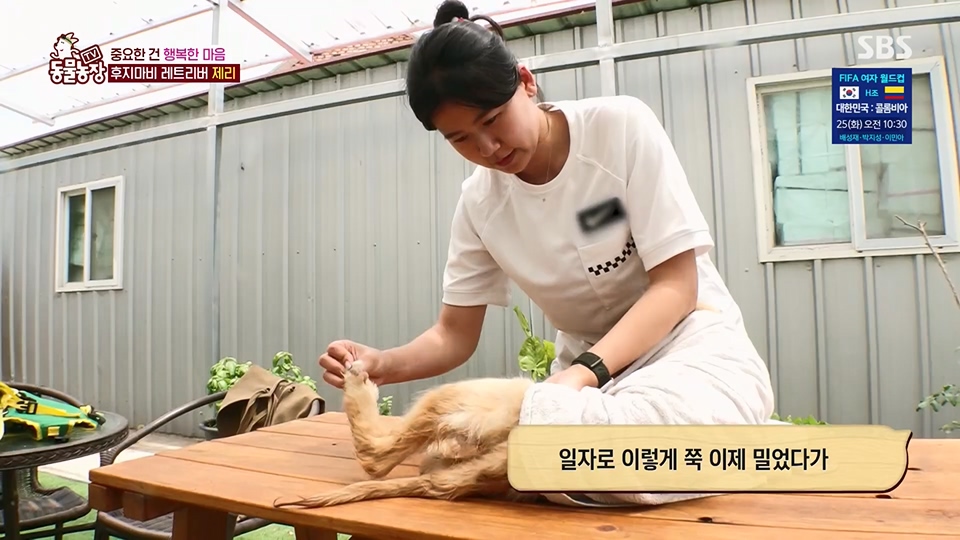 TV 동물농장.E1129.230716p.H264-F1RST.mp4_20230716_183620.048.jpg