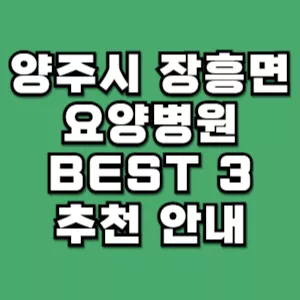 양주시-장흥면-요양병원