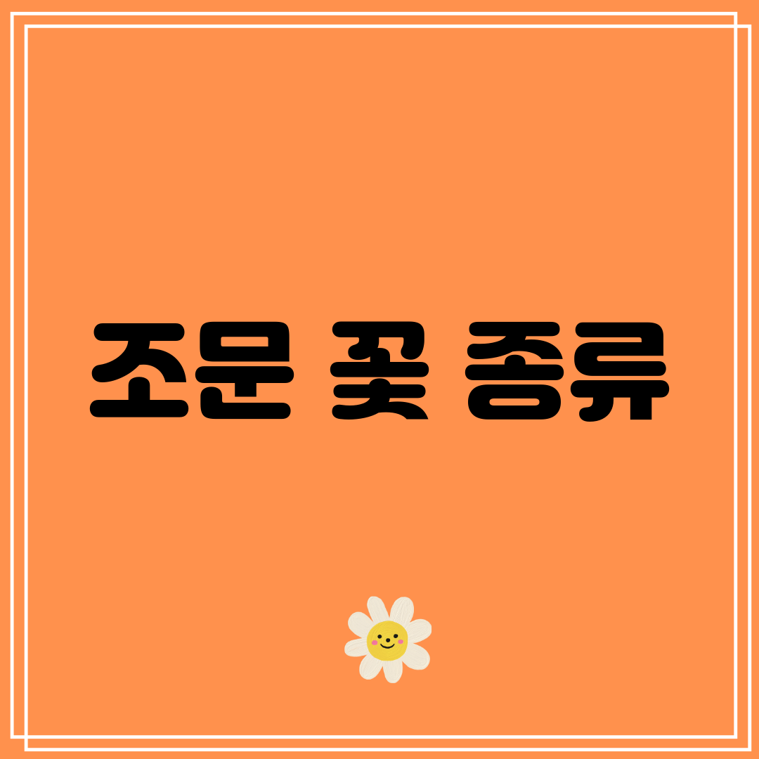 조문 꽃 종류