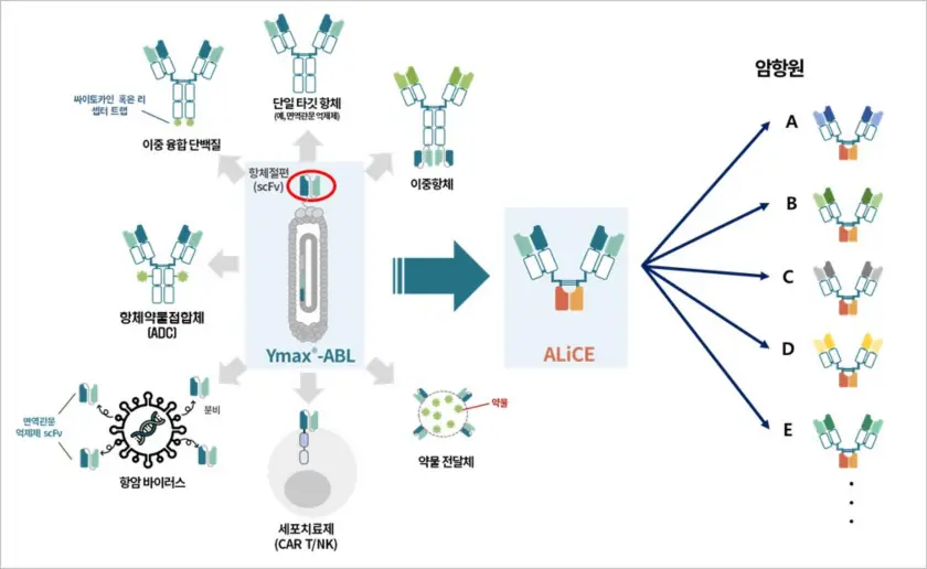 와이바이오로직스 공모주