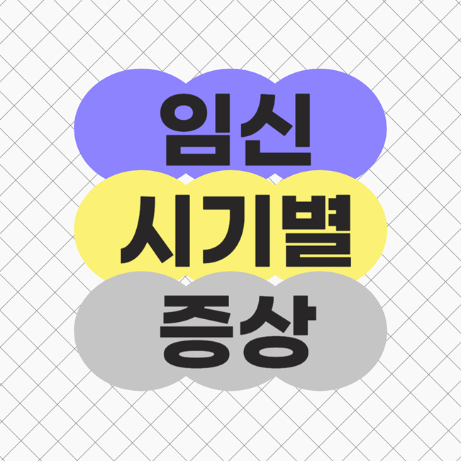  임신 시기별 증상과 검사 알아보기