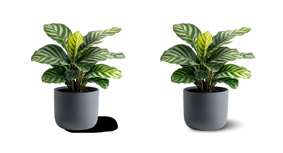 자연스럽게 그림자를 만드는 것