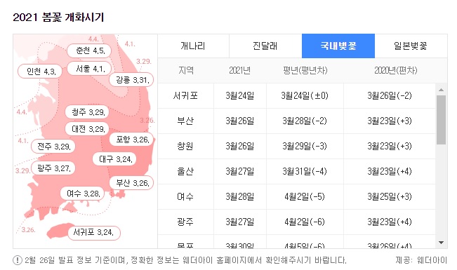  2021 벚꽃 개화 시기
