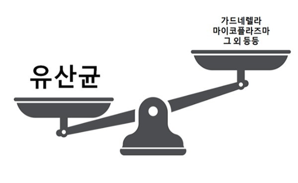  질염 종류와 증상 같이 알아봐요!