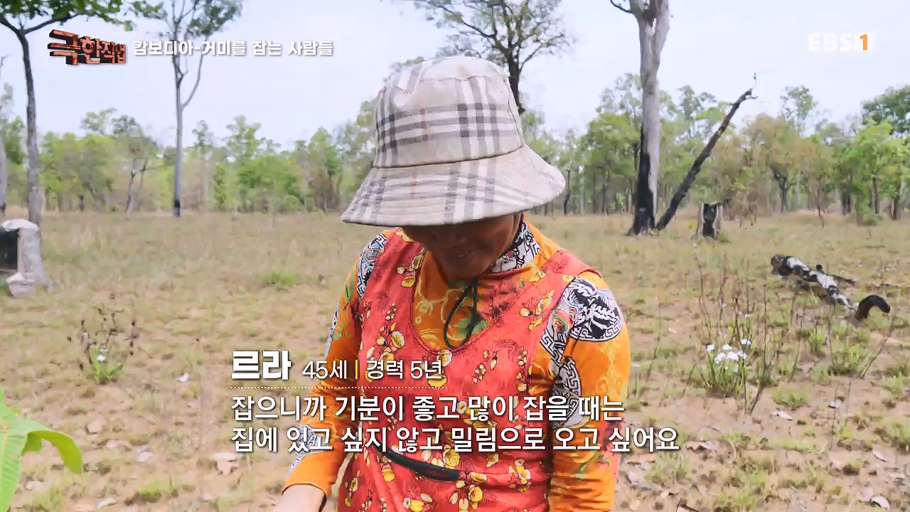 TV - 전 국민의 평생학교 EBS캄보디아 - 독충을 잡는 사람들.mp4_20230501_173409.441.jpg