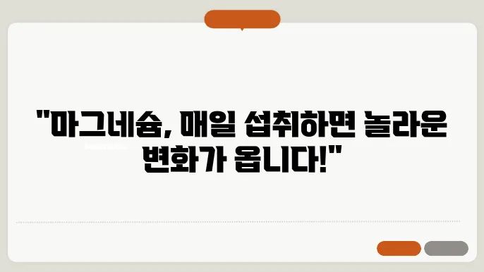 마그네슘 하루 권장량, 이렇게 섭취하면 건강이 달라집니다