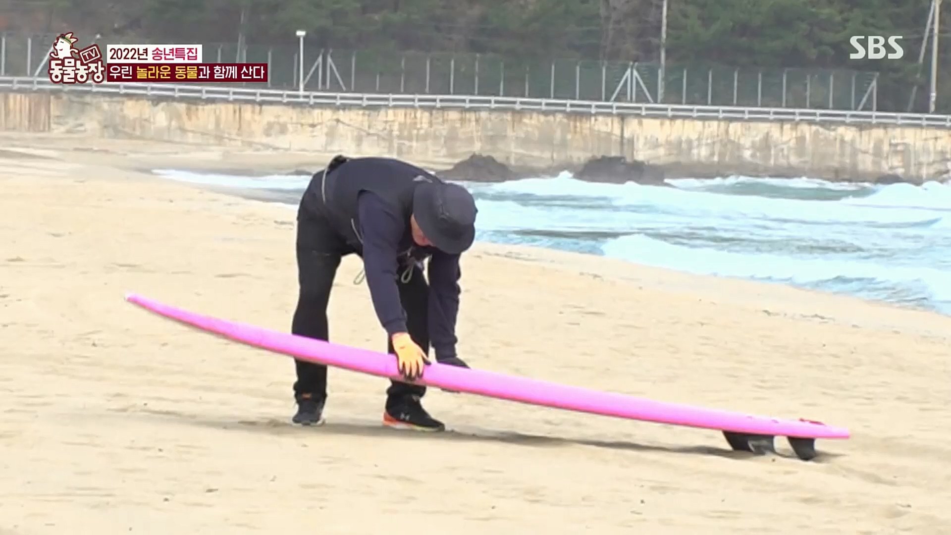TV 동물농장.E1101.221225p.H264-F1RST.mp4_20221225_190254.106.jpg
