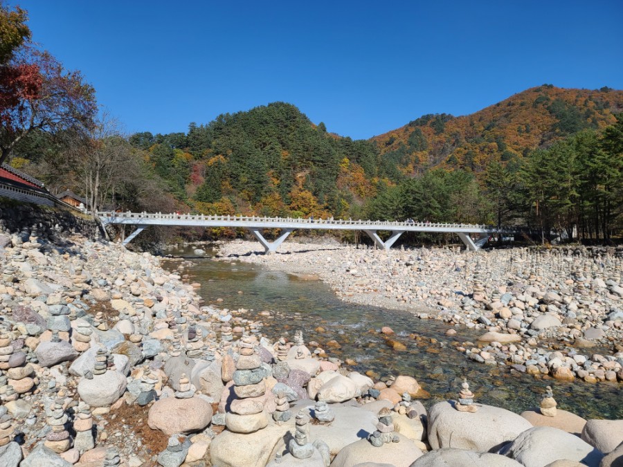 백담사 단풍 멋지다 ( 셔틀버스안내 ) 강원도 인제 여행 / 설악산 9