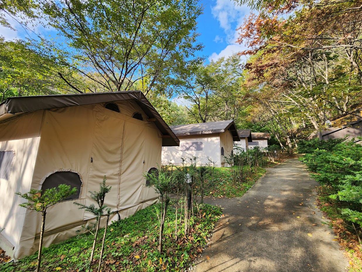 소백산국립공원 삼가야영장 이미지