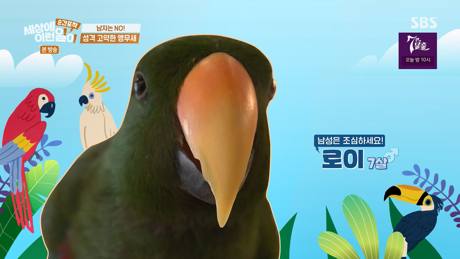 순간포착 세상에 이런일이.E1246.230916p.H264-F1RST.mp4_20230917_163832.581.jpg