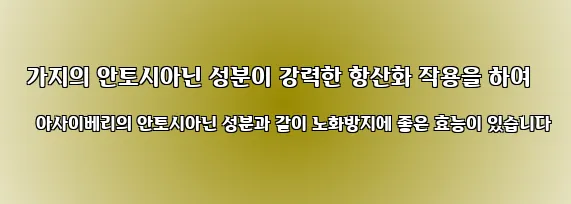  가지의 안토시아닌 성분이 강력한 항산화 작용을 하여 아사이베리의 안토시아닌 성분과 같이 노화방지에 좋은 효능이 있습니다