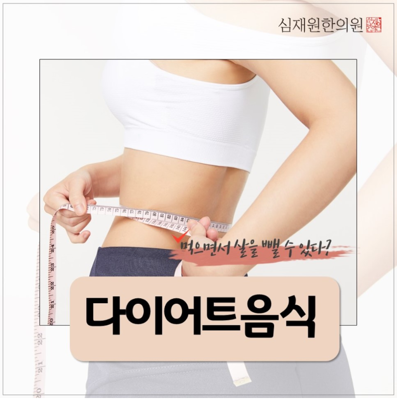  다이어트 음식  건강하게 빼자