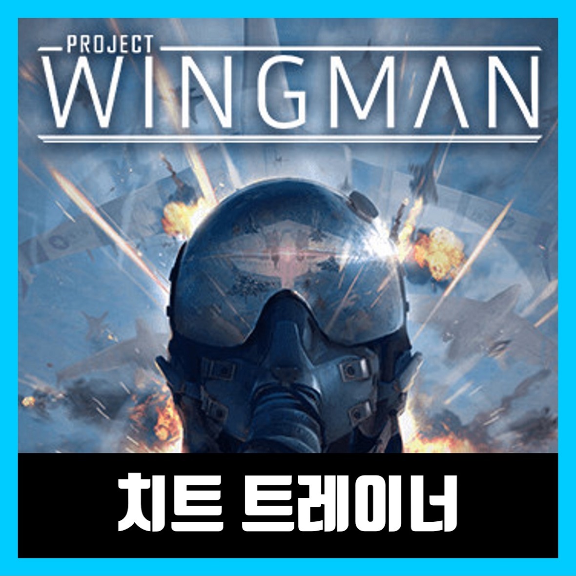  프로젝트 윙맨 트레이너 (Project Wingman Trainer)