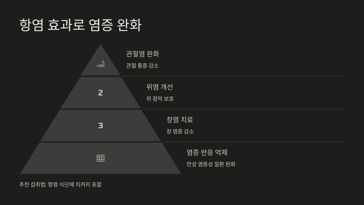 인티빈 효능