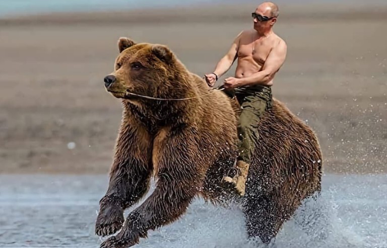 곰을 타고 있는 푸틴의 모습