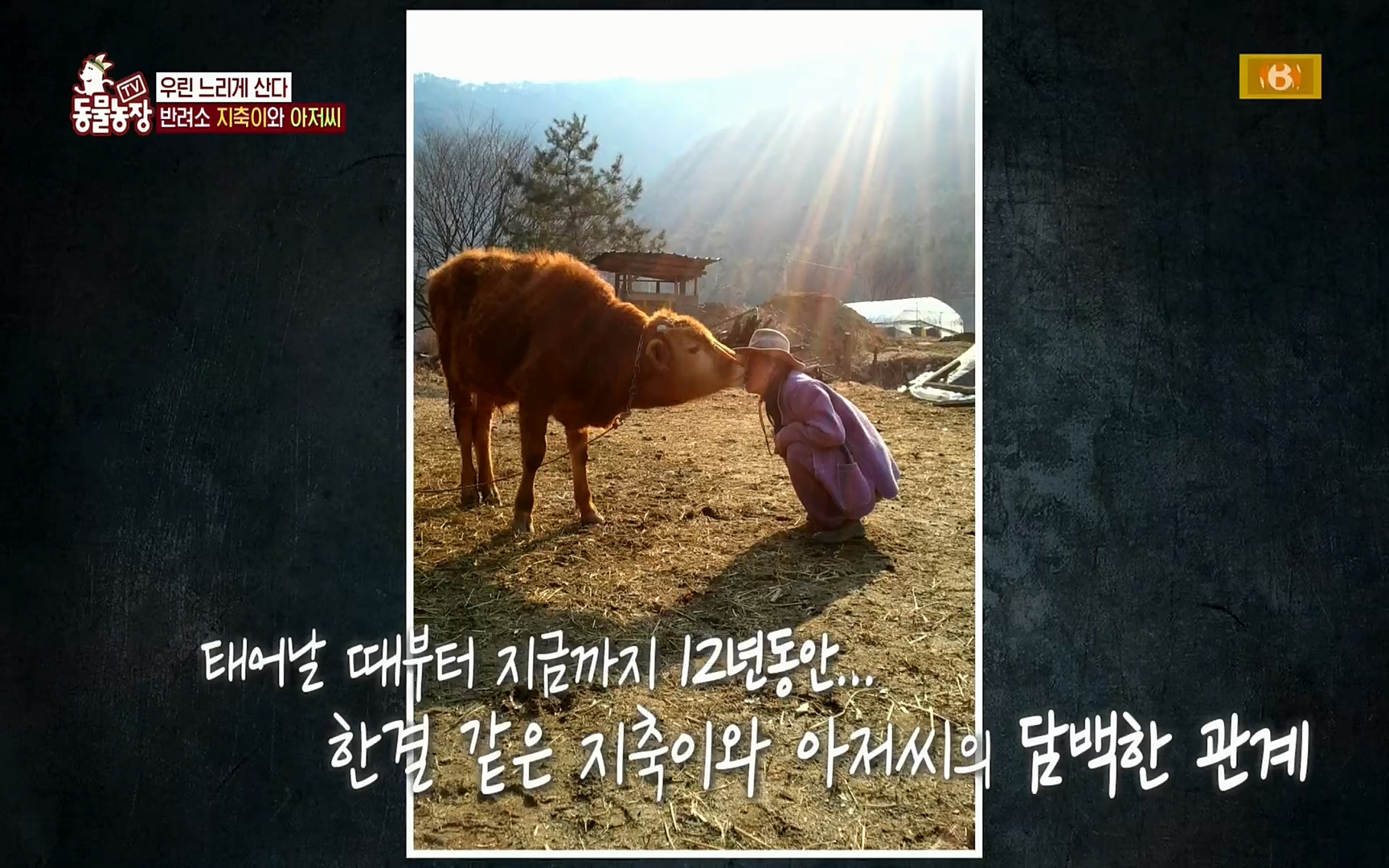 TV 동물농장.E1074.220619p.H264-F1RST.mp4_20220619_181141.172.jpg
