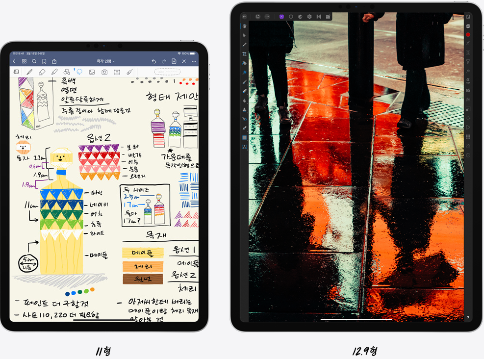 iPad Pro 4th Display