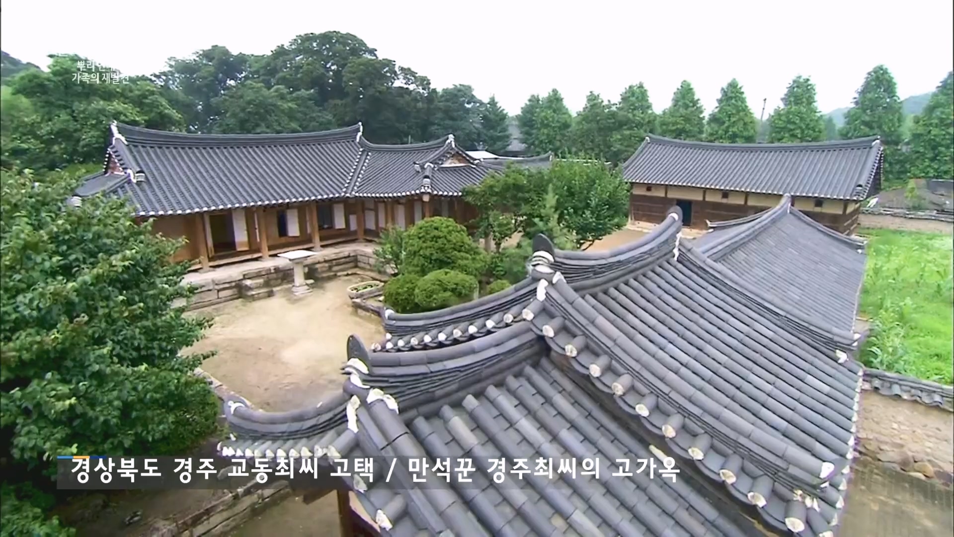 일요 특선 다큐멘터리.E327.231105p.H264-F1RST.mp4_20231105_165419.905.jpg