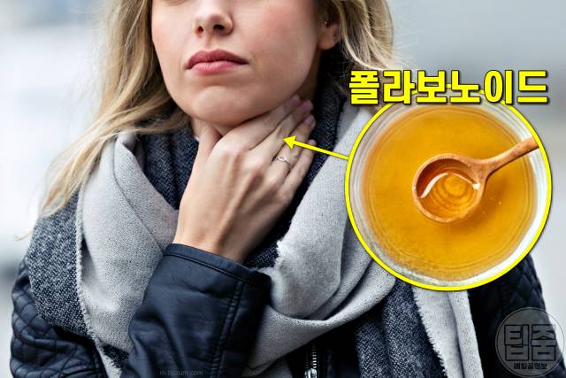 매일 꿀을 먹으면,꿀 한숟갈,기침 꿀 효능,팁줌