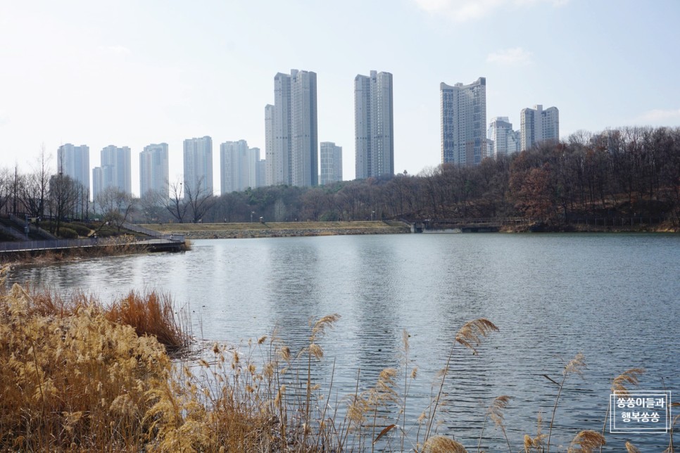 경기도 주말에 아이와 가볼만한곳 경기도 아이와 38