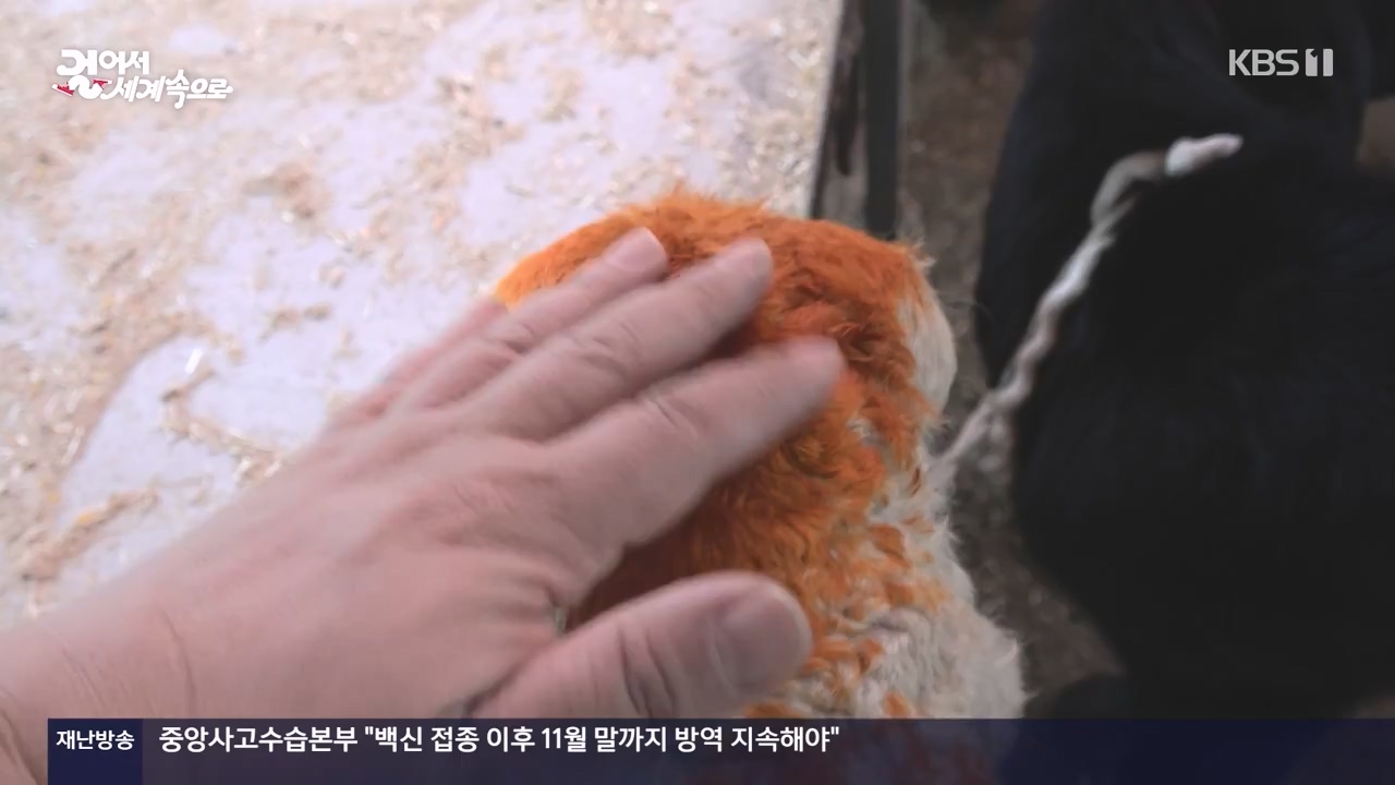 걸어서 세계속으로.E817.231112p-NEXT.mp4_20231114_213227.188.jpg