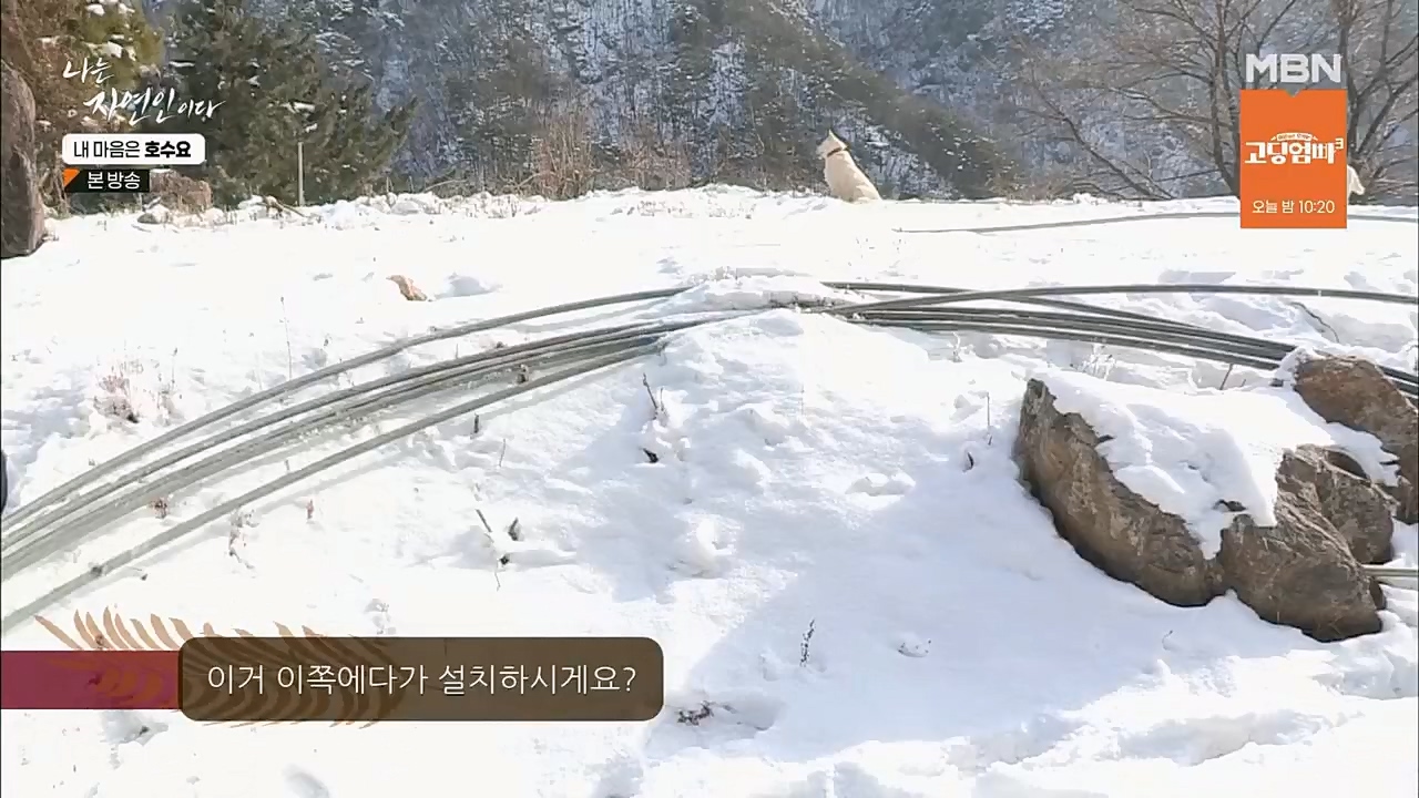 나는 자연인이다.E540.230209p.H264-F1RST.mp4_20230209_203738.381.jpg