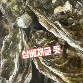 삼배체굴-뜻