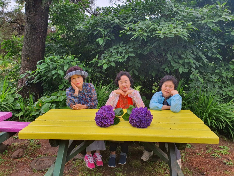 제주 여행사 추천 제주여행사 추천 인기 7