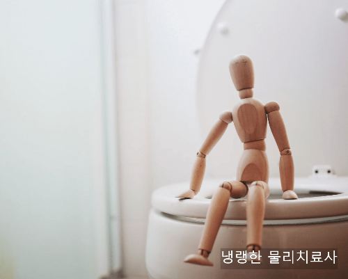 철분제 부작용 