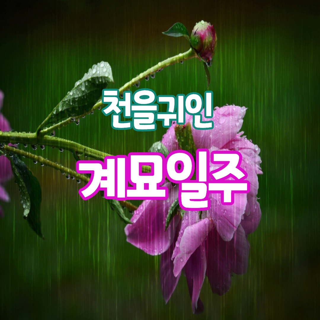  40. 천을귀인, 계묘일주