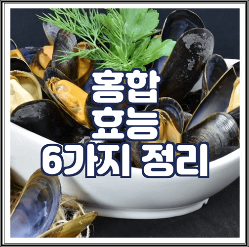  홍합 효능 6가지 정리