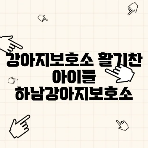 강아지보호소 활기찬 아이들 하남강아지보호소