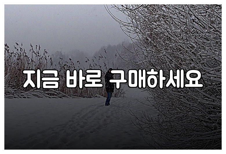 지금 바로 구매하세요