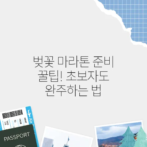 벚꽃 마라톤 준비 꿀팁! 초보자도 완주하는 법
