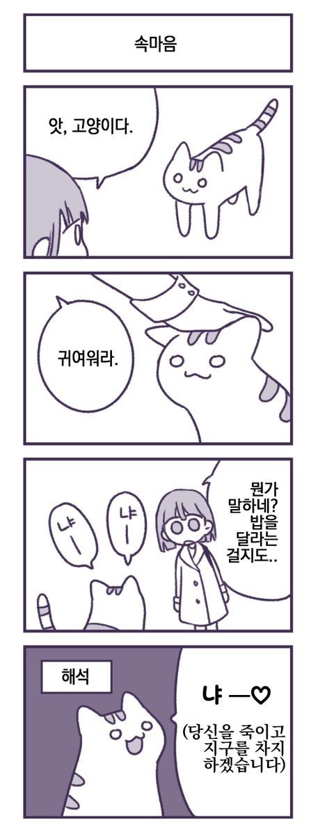  고양이의 속마음