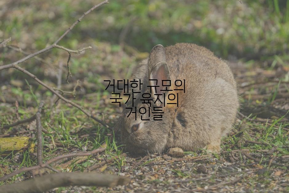 거대한 규모의 국가 육지의 거인들