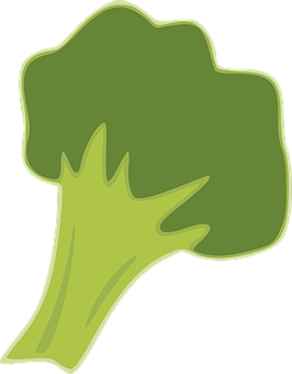 브로콜리의 이점