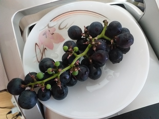  포도 꿈, 포도나무 꿈해몽과 효능은 어떻게될까