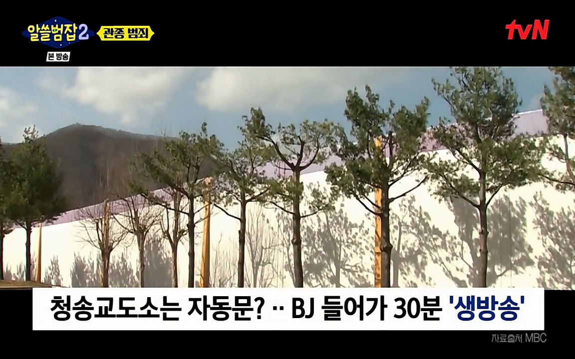 알쓸범잡 2.E16.220502p-NEXT.mp4_20220502_182139.654.jpg