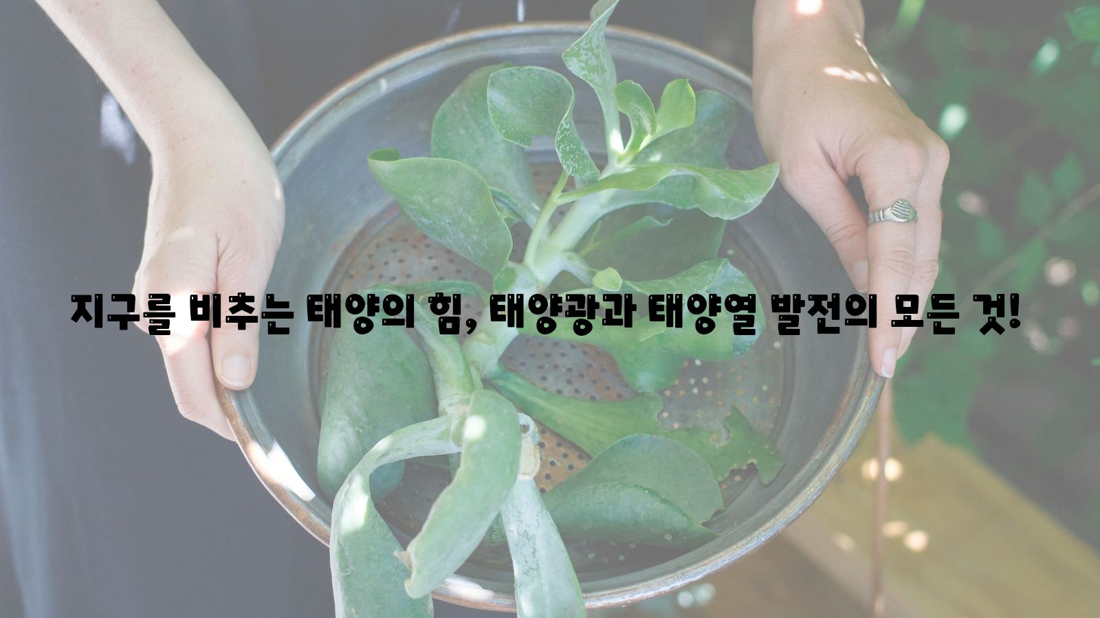 지구&#44; 태양광&#44; 태양열