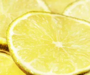 레몬2